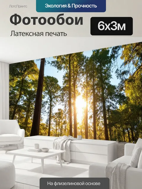 600 × 300 см · Латексная печать
