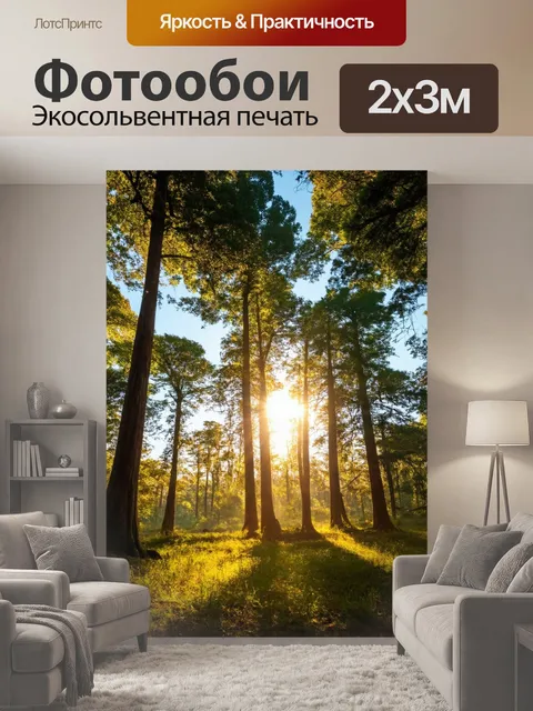 200 × 300 см · Экосольвентная печать