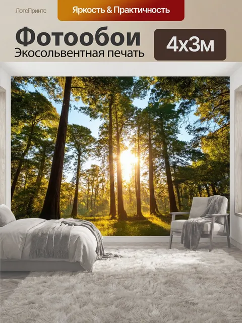 400 × 300 см · Экосольвентная печать