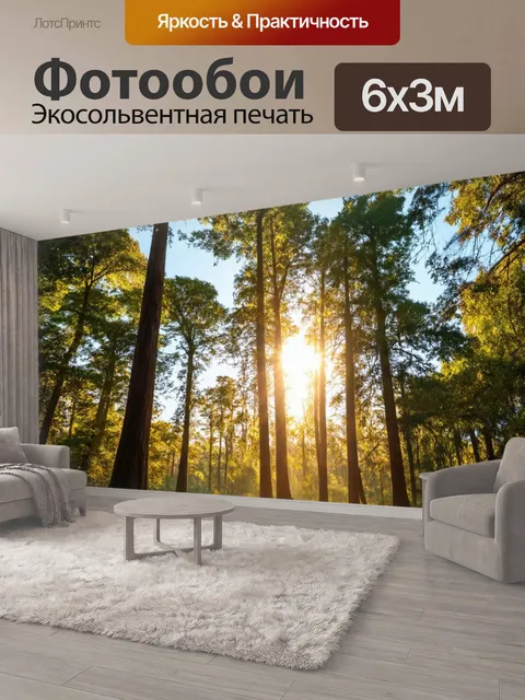 600 × 300 см · Экосольвентная печать