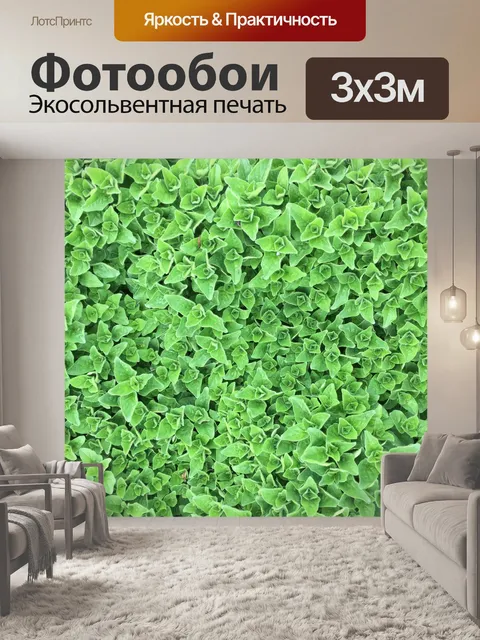 Фотообои Орегано, майоран, зеленый