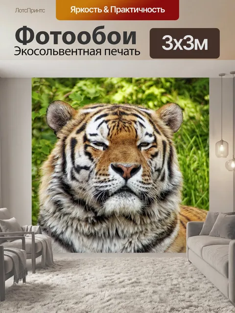 Фотообои Природа, тигр, животные