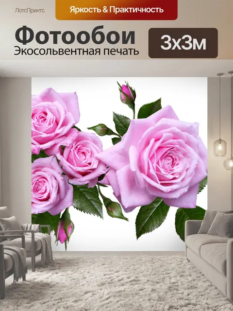 Фотообои Розы, розовый, цветы