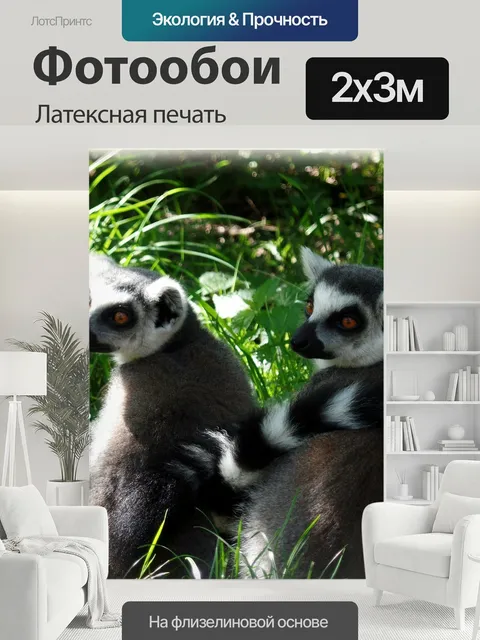 200 × 300 см · Латексная печать