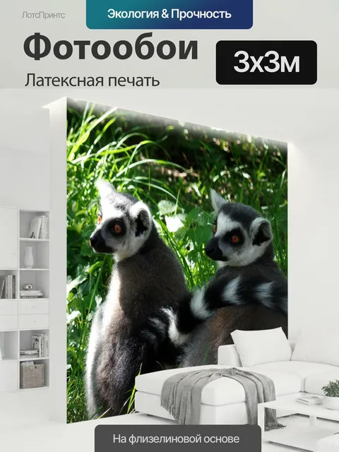 300 × 300 см · Латексная печать