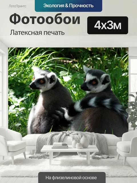 400 × 300 см · Латексная печать