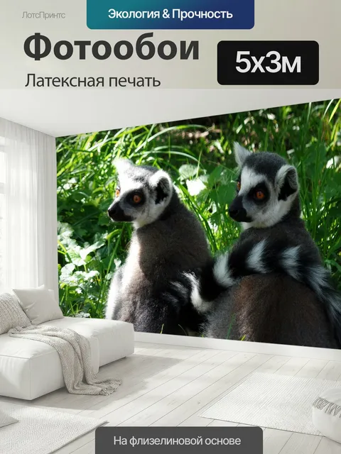500 × 300 см · Латексная печать