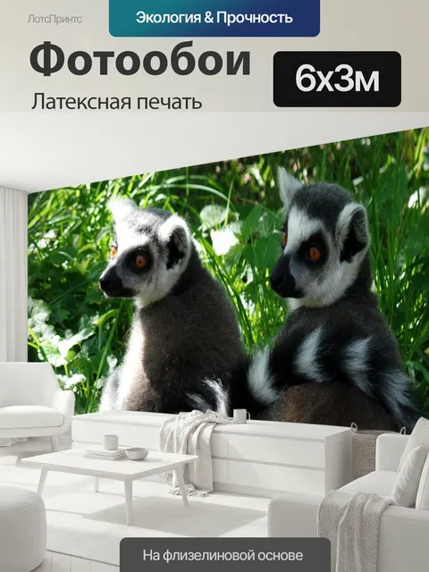 600 × 300 см · Латексная печать