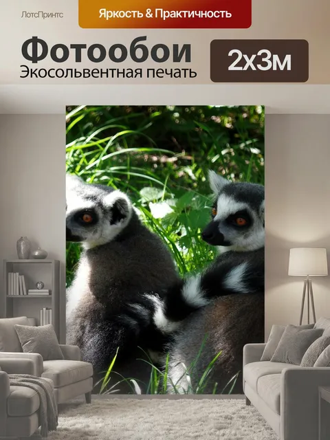 200 × 300 см · Экосольвентная печать