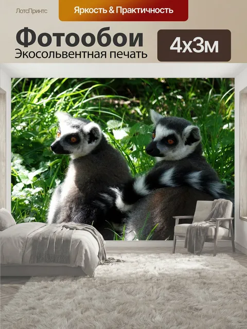400 × 300 см · Экосольвентная печать