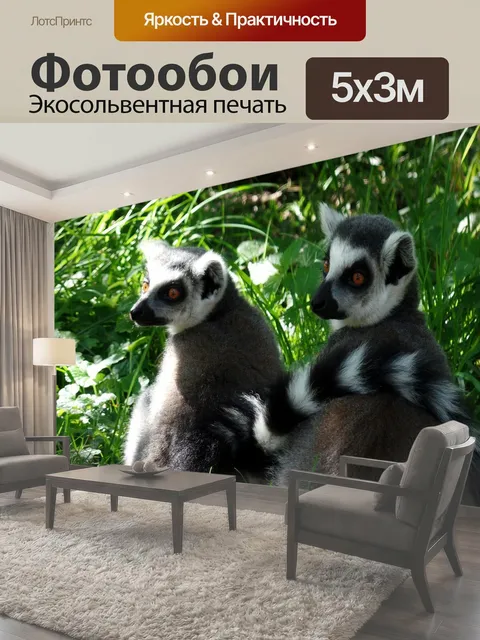 500 × 300 см · Экосольвентная печать