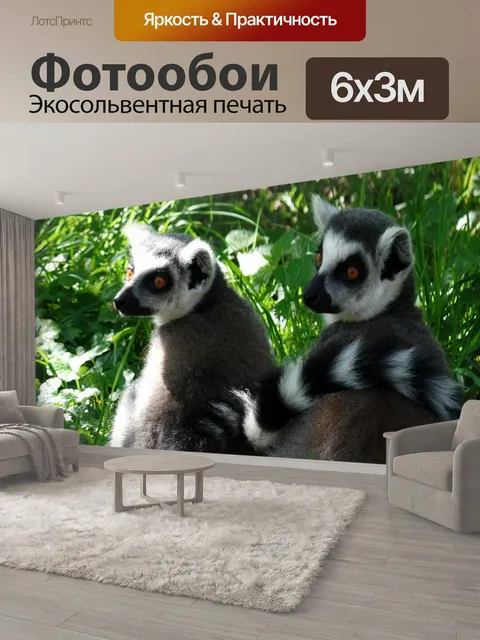 600 × 300 см · Экосольвентная печать