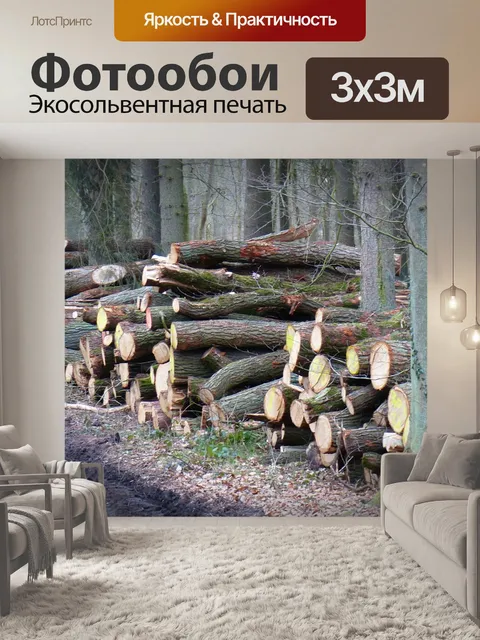 Фотообои Древесина, лесное хозяйство, ствол дерева