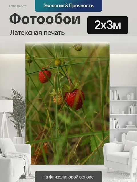 200 × 300 см · Латексная печать