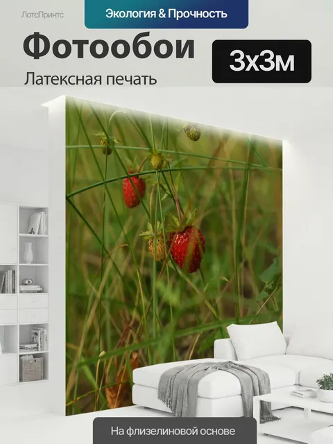 300 × 300 см · Латексная печать