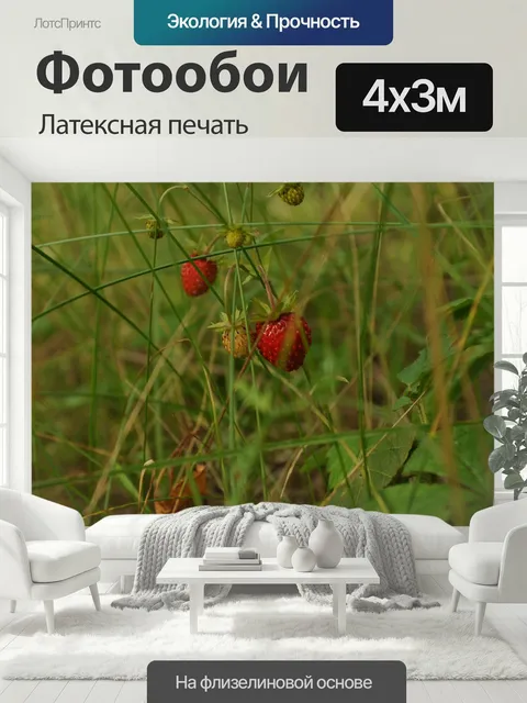 400 × 300 см · Латексная печать