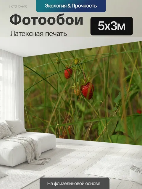 500 × 300 см · Латексная печать