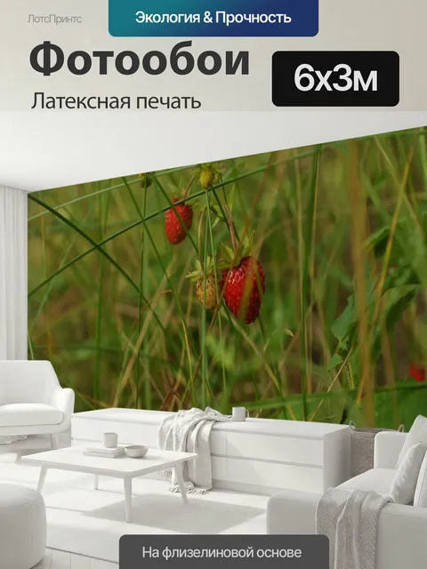 600 × 300 см · Латексная печать