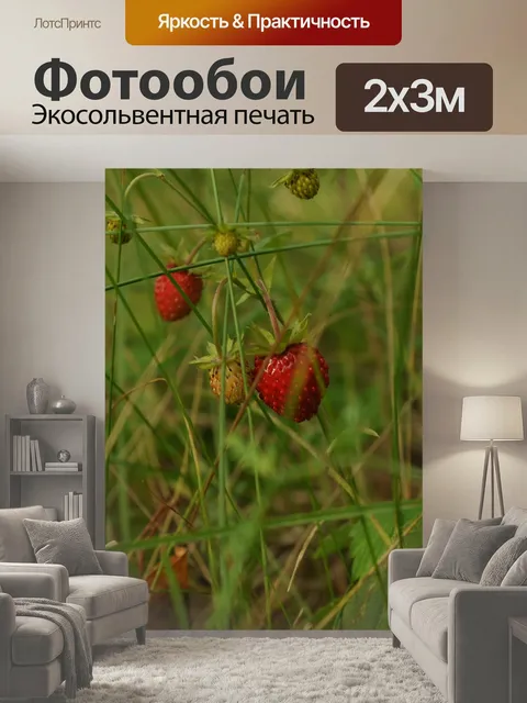 200 × 300 см · Экосольвентная печать