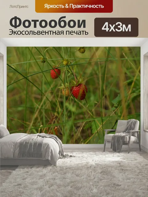 400 × 300 см · Экосольвентная печать