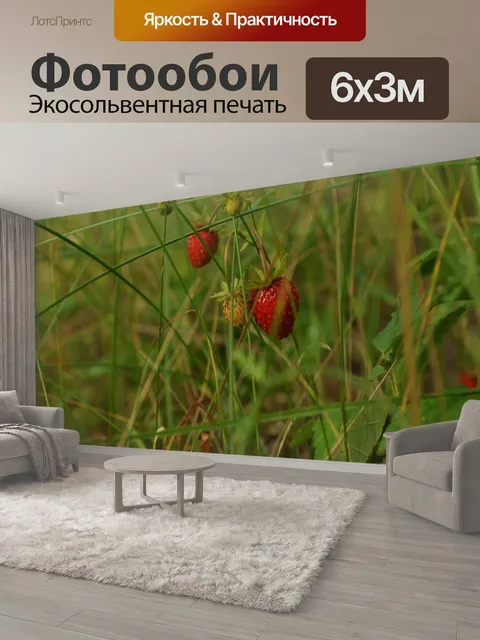 600 × 300 см · Экосольвентная печать