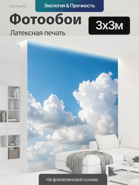 300 × 300 см · Латексная печать