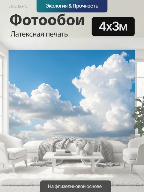 400 × 300 см · Латексная печать