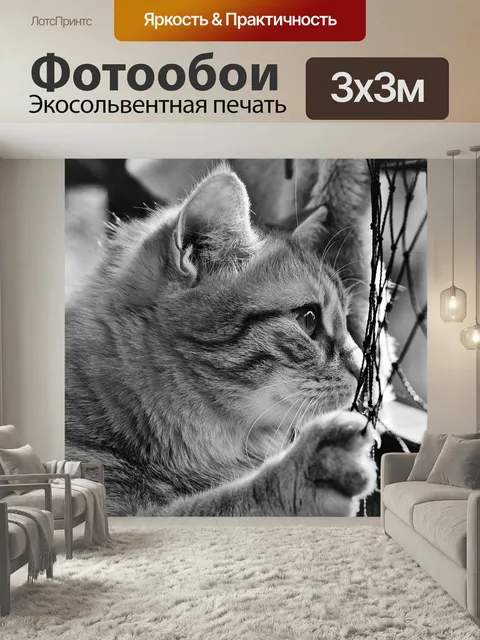 Фотообои Кот, похмелье, черно-белый