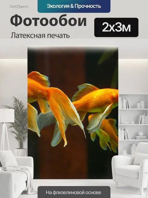 200 × 300 см · Латексная печать