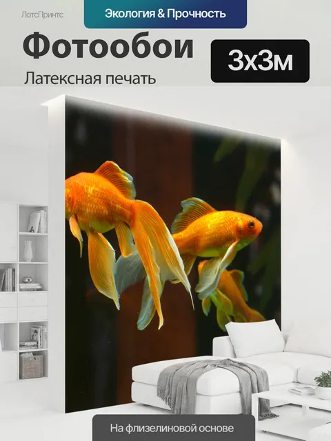 300 × 300 см · Латексная печать