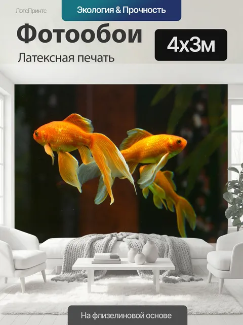 400 × 300 см · Латексная печать