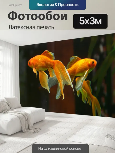 500 × 300 см · Латексная печать