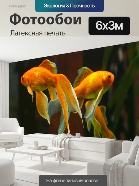 600 × 300 см · Латексная печать