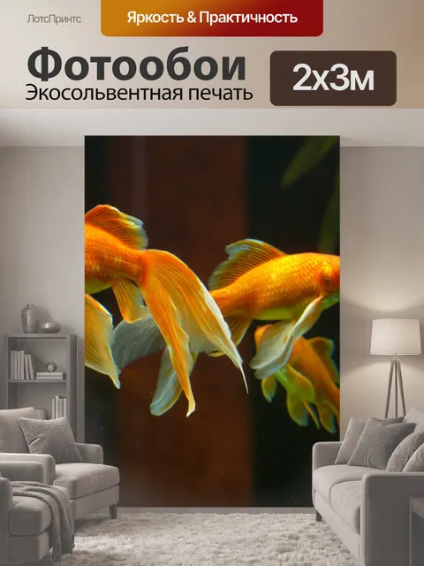 200 × 300 см · Экосольвентная печать