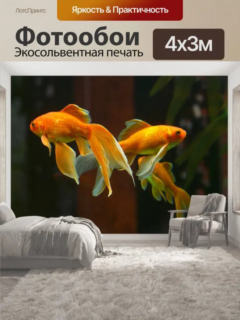 400 × 300 см · Экосольвентная печать
