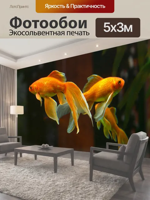 Фотообои Вуаль хвоста, рыбы, золотая рыбка