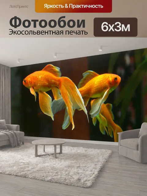 600 × 300 см · Экосольвентная печать