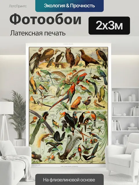 200 × 300 см · Латексная печать