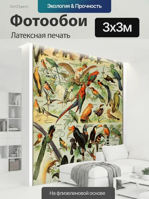 300 × 300 см · Латексная печать
