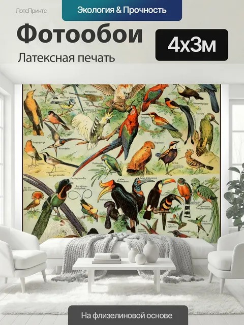 400 × 300 см · Латексная печать
