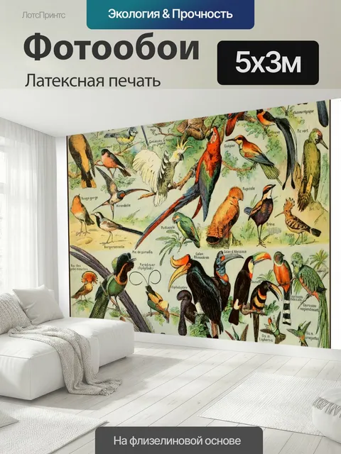 500 × 300 см · Латексная печать