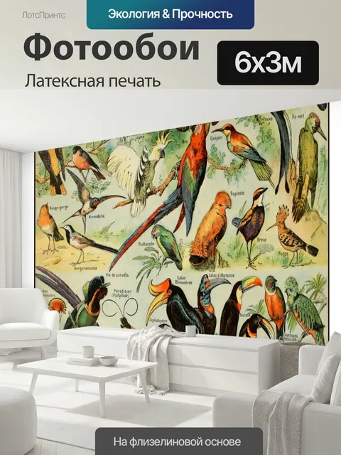 600 × 300 см · Латексная печать