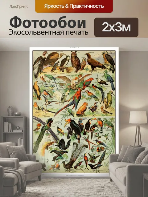 200 × 300 см · Экосольвентная печать