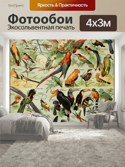 400 × 300 см · Экосольвентная печать
