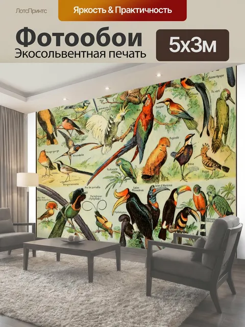 Фотообои Vintage Birds Art Print Старинный французский художественный принт различных названных пород птиц птица…