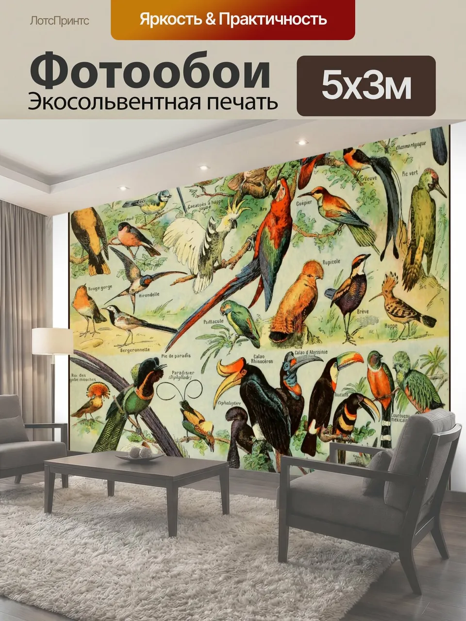Фотообои Vintage Birds Art Print Старинный французский художественный принт различных названных пород птиц…