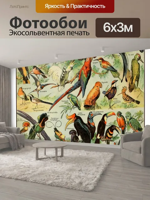 600 × 300 см · Экосольвентная печать