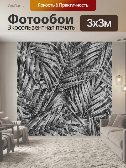 Фотообои Черно-белые листья агавы