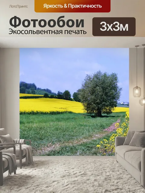 Фотообои Германия, поле, цветы