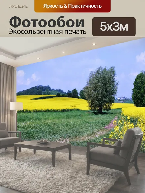 Фотообои Германия, поле, цветы